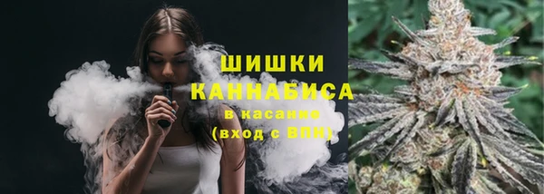 Альфа ПВП Каменка