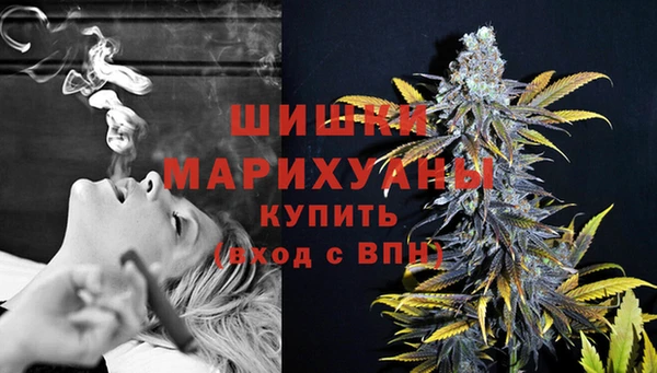 MESCALINE Иннополис