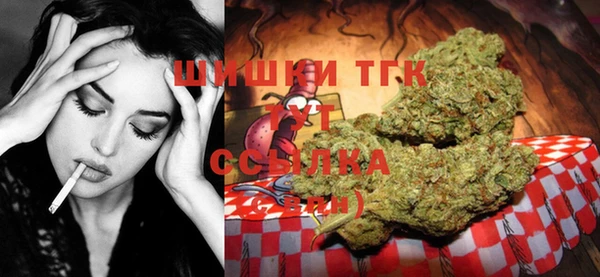 Альфа ПВП Каменка