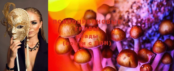 Альфа ПВП Каменка